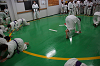 DSC01378[1]_thumb.png